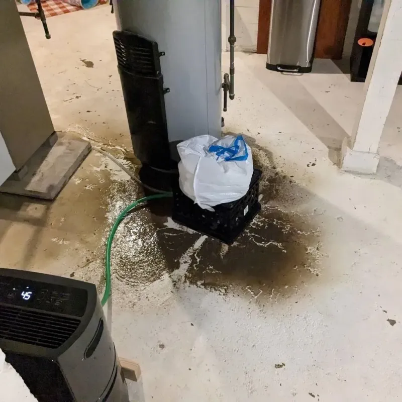 Sewage Backup Cleanup Service in Ossian, IN